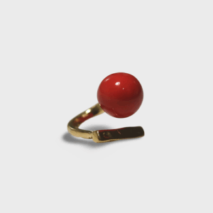 Anillo intercambiable