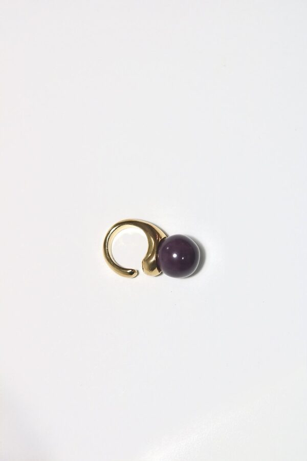 Anillo intercambiable